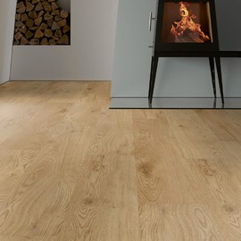 Виниловый пол Ter Hurne PERFORM D04 Oak Dublin