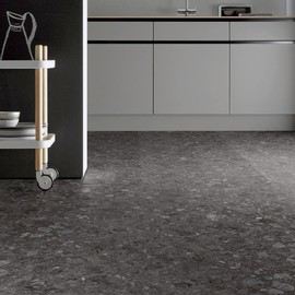 Виниловый пол Ter Hurne PERFORM E09 Stone Palermo